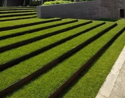 Garden Edging Origion
